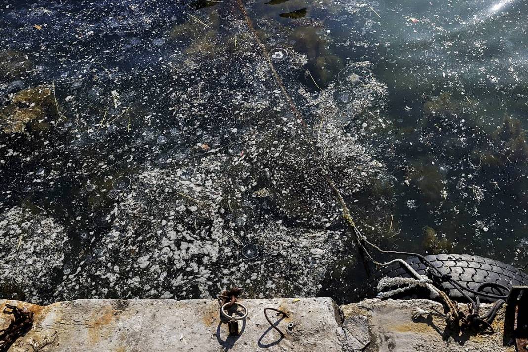 İstanbul'un o sahilinde yürüyüş yapanlar gözlerine inanamadı! Bitti denmişti, meğer yeniden başlıyormuş 10
